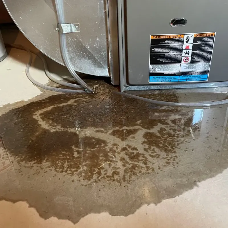 Pipe Burst and Leak Restoration in Merced, CA